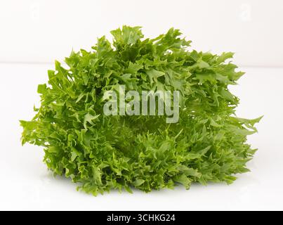 Lettuce salad isolated nature background with clipping path Stock Photo