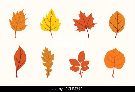 A collection of colorful autumn leaves vector illustration, Colorful autumn leaves vector set, print design, and digital artwork. Stock Vector