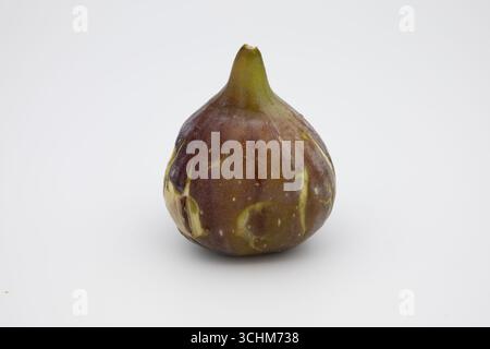 Ripe fig fruit isolated on white. Stock Photo