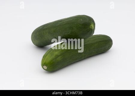 Two fresh green cucumbers on a white background. Stock Photo