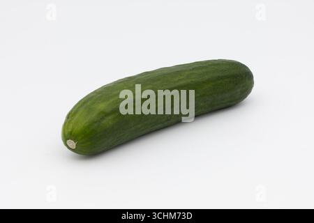 A single green cucumber on a white background. Stock Photo