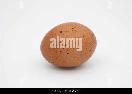 Brown speckled egg isolated on white. Stock Photo