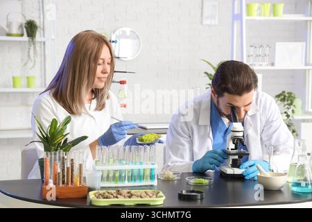 Agricultural engineers working at table in laboratory Stock Photo