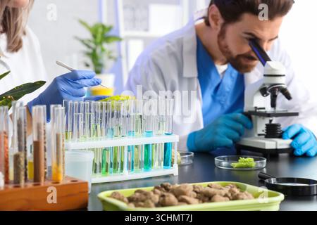 Agricultural engineers working at table in laboratory, closeup Stock Photo