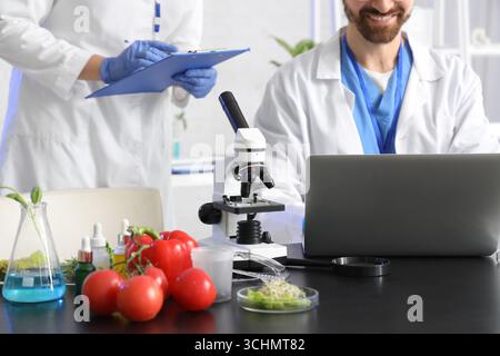 Agricultural engineers working with laptop in laboratory Stock Photo