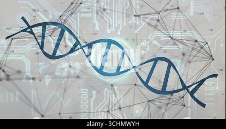 Displaying stylized blue DNA helix spanning grey backdrop, with circuit traces and network nodes Stock Photo