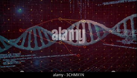 Floating DNA double helix rotating over dark grid plane, with glowing data nodes and code fragments Stock Photo