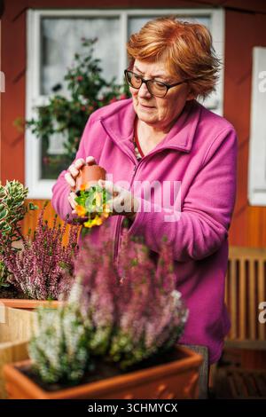 Senior woman planting seasonal flowers at backyard. Autumn gardening and floral arrangement Stock Photo