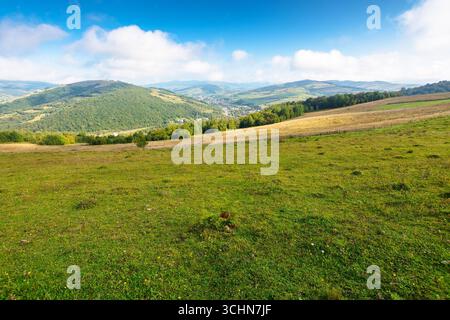scenery with rural field on grassy hill of mountains. beautiful countryside landscape in ukrainian carpathians on a sunny day. scenic view of alpine p Stock Photo