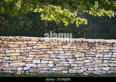 Natural stone wall with green leaves above, rustic masonry texture as clean architectural background and concept of privacy. Stock Photo