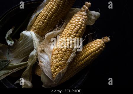 Close-up of raw yellow corn cobs with husks partially peeled back, arranged on a dark textured background. Stock Photo