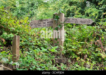 Traditional wooden fingerpost signpost, overgrown with vegetation, on ...