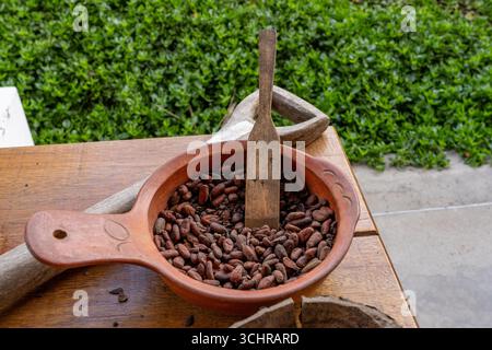 Roasted cacao beans in the shell in the Museum of Cacao & Chocolate in Mitad del Mundo, Ecuador. Stock Photo