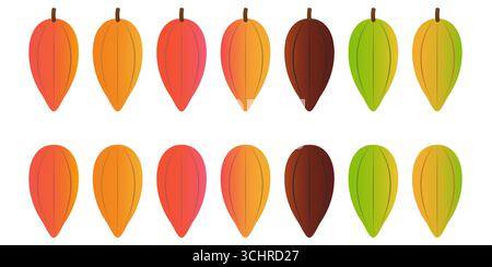 Fresh Cocoa Fruits Set, Cacao Beans, Cocoa Pod. Vector Illustration Isolated on White Background. Stock Vector