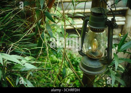 An old Rustic Lantern Hanging on a Tree in a Green Garden Stock Photo