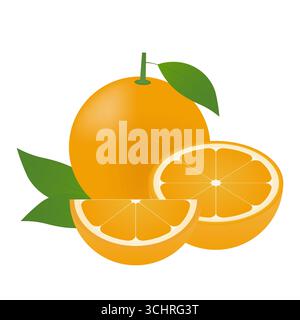 Orange fruit. Vector Illustration Isolated on White Background. Stock Vector