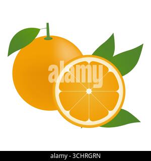 Orange fruit. Vector Illustration Isolated on White Background. Stock Vector