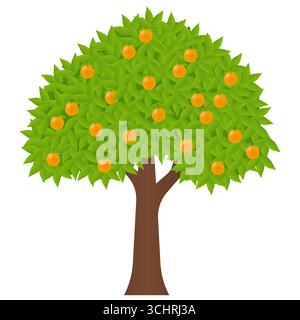 Orange Tree. Vector Illustration Isolated on White Background. Stock Vector