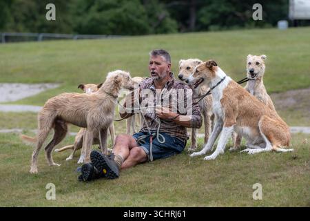 Minding the dogs, man’s best friend. Chatsworth Country Fair, Derbyshire, UK Stock Photo