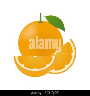 Orange fruit. Vector Illustration Isolated on White Background. Stock Vector
