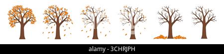 Autumn Tree Set With Fallen Leaves. Vector Illustration Isolated on White Background. Stock Vector
