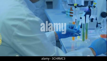 Handling technician hands wearing blue gloves positioning test tube rack on lab bench with pipettes Stock Photo