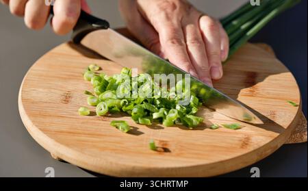 chef cuts fresh green onion on cutting board to prepare a healthy meal. outdoor cooking, food closeup Stock Photo