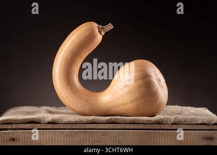 Crookneck Butternut Squash Placed On Burlap Over Wooden Crate With Dark Background Stock Photo