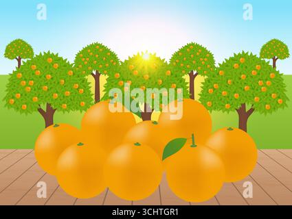 Fresh Orange Fruits Background. Vector Illustration. Stock Vector