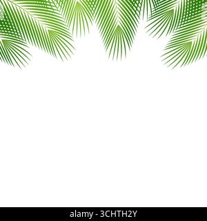 Coconut Leaves or Green Palm Leaves. Summer Background Frame. Vector Illustration Isolated on White Background. Stock Vector