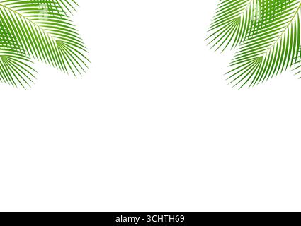 Coconut Leaves or Green Palm Leaves. Summer Background Frame. Vector Illustration Isolated on White Background. Stock Vector