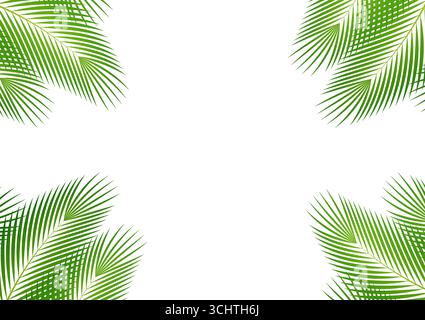 Coconut Leaves or Green Palm Leaves. Summer Background Frame. Vector Illustration Isolated on White Background. Stock Vector