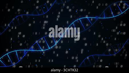 Twisting glowing blue DNA double helix strands floating in digital space, with binary digits Stock Photo