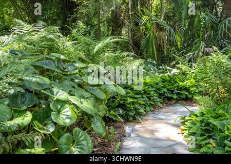 Stone pathway in the Jacobson Family Garden at the Kanapaha Botanical Gardens in Gainesville, Florida. (USA) Stock Photo