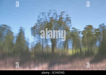 Shoreline On Reflection Stock Photo