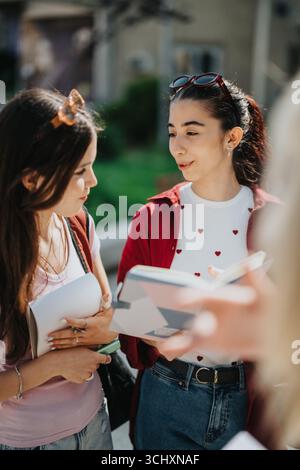 Two students discussing notes and studying outdoors on a sunny day Stock Photo