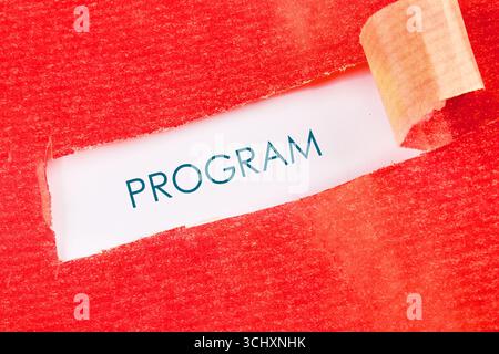 Concept word PROGRAM. Data Digital Programs System Technology Concept. Stock Photo