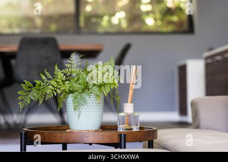 Potted fern and reed diffuser on wooden table in modern living room Stock Photo