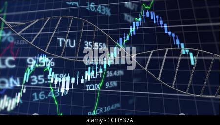3D DNA double helix merging with gridlines onscreen, with candlesticks, line traces and % labels Stock Photo