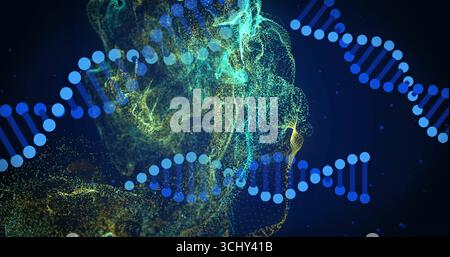 Displaying stylized DNA helices twisting diagonally in dark space, with cyan yellow dotted clouds Stock Photo