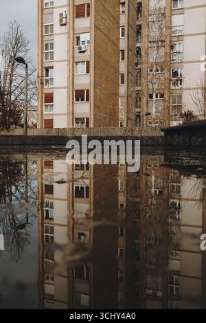 Apartment building in Novi Sad reflected in a puddle of water on a winter day. Stock Photo