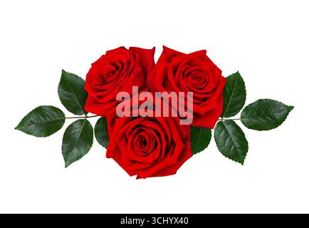 Bouquet of dark red rose flowers with green leaves on a white background. Stock Photo