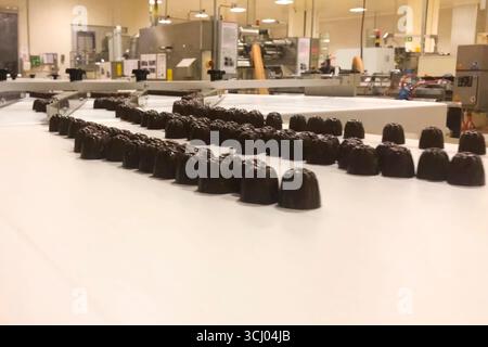 Chocolate candies on the conveyor line at the candy factory Stock Photo
