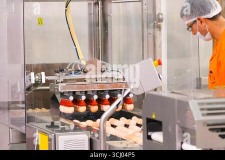 Chicken eggs on conveyor line at egg packing factory. Stock Photo