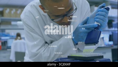 Dispensing lab scientist wearing coat and gloves pipetting into 96-well plate with pipette in lab Stock Photo