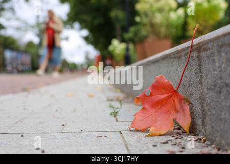 Autumn season, defocused view from fallen maple leaf to woman walking on a street in city park Stock Photo