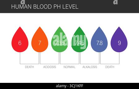 Ph blood scale. Human blood drop symbol. Medical Flat Vector illustration Stock Vector