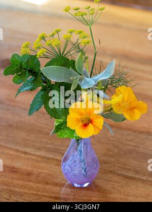 Flower arrangement, yellow Nasturtiums, Wattle and fennel blooms and Bluegreen wattle and green mint leaves in a purple glass vase Stock Photo