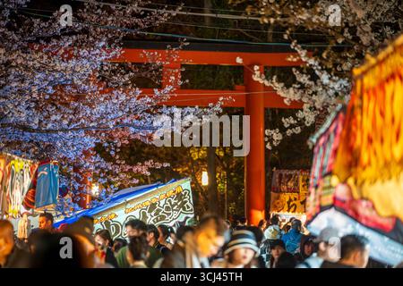 A crowded path with festival food stalls and banners leads to a traditional torii gate under night cherry blossoms in Maruyama Park. Stock Photo