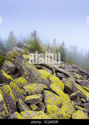 forest on the rocks in fog. mysterious autumn morning in ukrainian carpathians. hiking through steep hills of gorgany ridge with coniferous trees. out Stock Photo